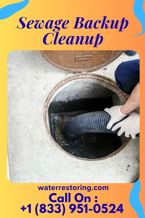 Sewage Backup Cleanup in Exeter, MO